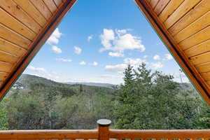 Mountain view with a forest