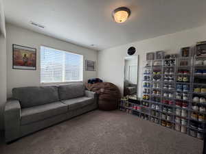 Carpeted living room with a textured ceiling