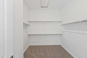 Walk in closet featuring light carpet