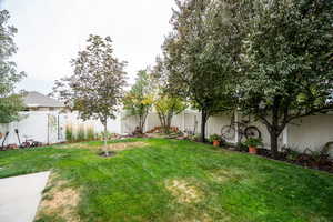 View of fenced backyard
