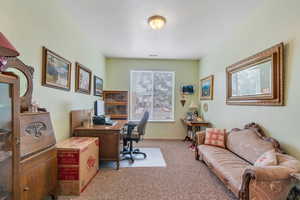 Carpeted den/living space featuring baseboards (could be converted to third bedroom)