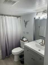 Full bathroom with a textured ceiling, vanity, wood finished floors, and a shower with curtain