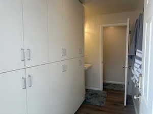 Bathroom for swim-spa access in detached garage/apartment