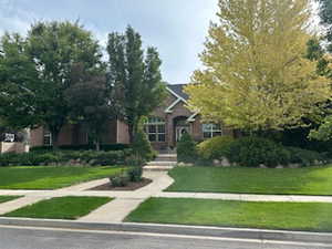 View of property hidden behind natural elements with a front lawn