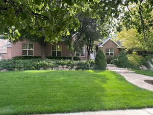 View of property hidden behind natural elements with a front yard and brick siding