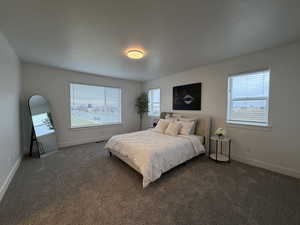 Spacious premier bedroom featuring bright windows and carpet floors
