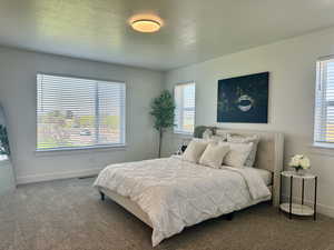 This spacious master suite features multiple windows and carpet with a large walk-in closet and private bath