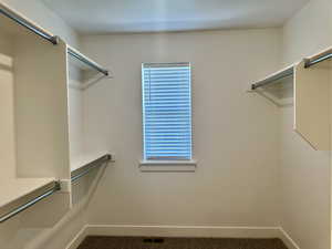 Spacious closet featuring carpet floors and well planed shelving