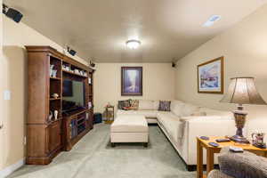 Basement Living room