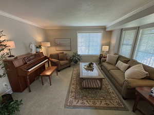Living area with crown molding, light colored carpet, and a textured ceiling