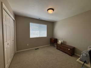 Unfurnished bedroom featuring carpet floors, a closet, and a textured ceiling