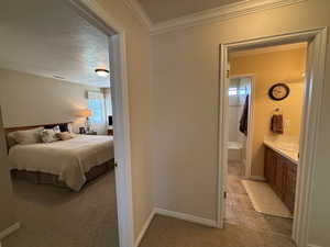 Bedroom featuring light carpet, crown molding, a textured ceiling, and ensuite bathroom