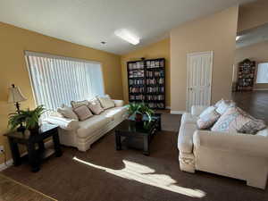 Carpeted living room with vaulted ceiling and a textured ceiling