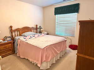 Bedroom featuring light carpet