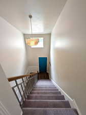 Staircase with a textured ceiling, a high ceiling, and carpet floors