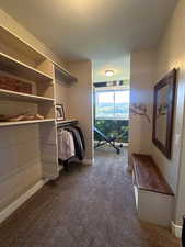 Spacious closet featuring dark colored carpet