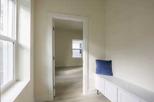 Bathroom with healthy amount of natural light and light wood-type flooring