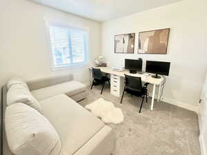 Office with light carpet and baseboards