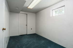 Below grade area with carpet flooring