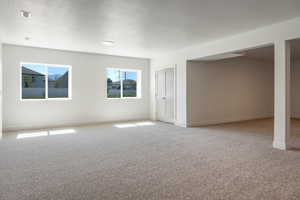 Below grade area with carpet floors and a textured ceiling