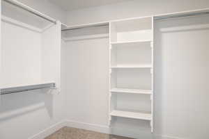 Walk in closet with carpet