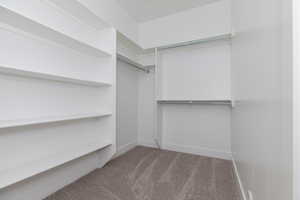 Walk in closet featuring light colored carpet