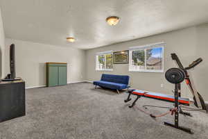 Workout room featuring a textured ceiling and carpet floors