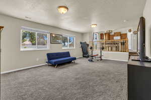 Sitting room featuring carpet flooring and a textured ceiling