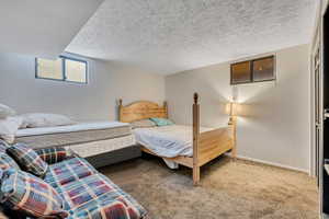 Bedroom with carpet flooring and a textured ceiling