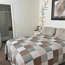 Bedroom with carpet floors