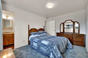 Carpeted bedroom with ensuite bathroom and ornamental molding