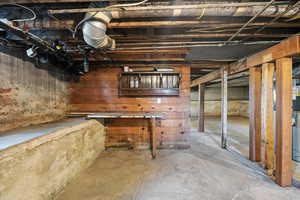 Unfinished basement with wood walls