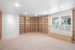 Spare room with carpet floors, built in features, and recessed lighting