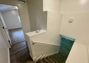 Stairway featuring carpet and wood finished floors