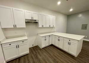 Laundry room featuring dark wood-style flooring, recessed lighting, and electric panel