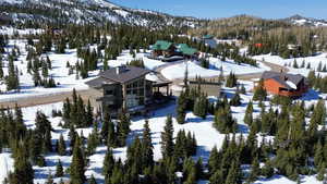 Aerial view of a mountainous background and a heavily wooded area