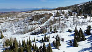 Bird's eye view of a mountain backdrop and tree House
