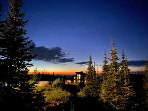 View of nature