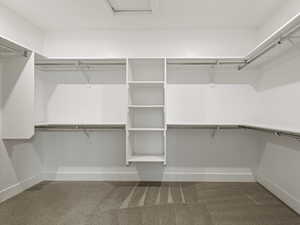 Walk in closet featuring carpet floors