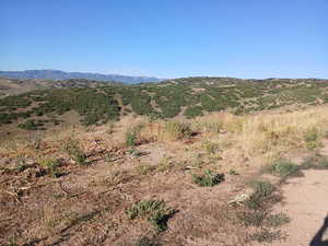 View of mountain background