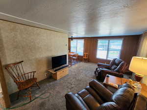 Living room featuring carpet flooring, a textured ceiling, and wooden walls