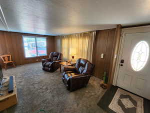 Living area with a textured ceiling, carpet flooring, and wood walls