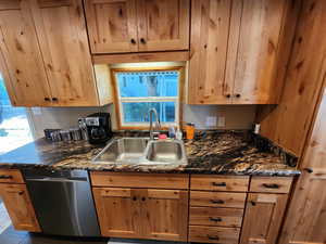 Kitchen featuring stainless steel dishwasher and dark stone counters