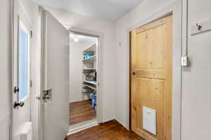extra pantry & back door