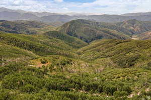 View of mountain background with a forest