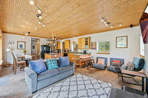 Living room featuring track lighting and wooden ceiling