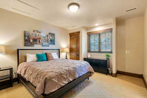 Bedroom featuring attic access, light colored carpet, and a closet