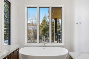 Full bath featuring vanity, a freestanding bath, and plenty of natural light