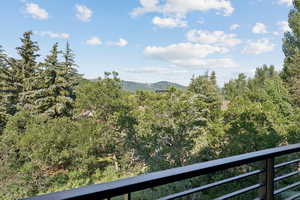 Mountain view with a heavily wooded area