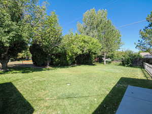 View of fenced backyard